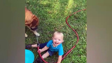 Try Not To Laugh Challenge #3 - Babies Playing Water In The Pool | Patpat