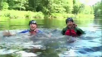 Wild Kratts - Platypus Cafe