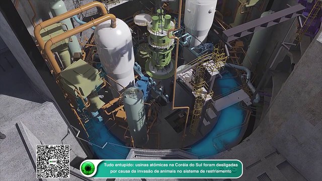 Tudo entupido: usinas atômicas na Coréia do Sul foram desligadas por causa da invasão de animais no sistema de resfriamento