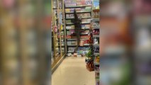 y2mate.com - Rampaging Monitor Lizard Raids Supermarket For Food_1080pFHR