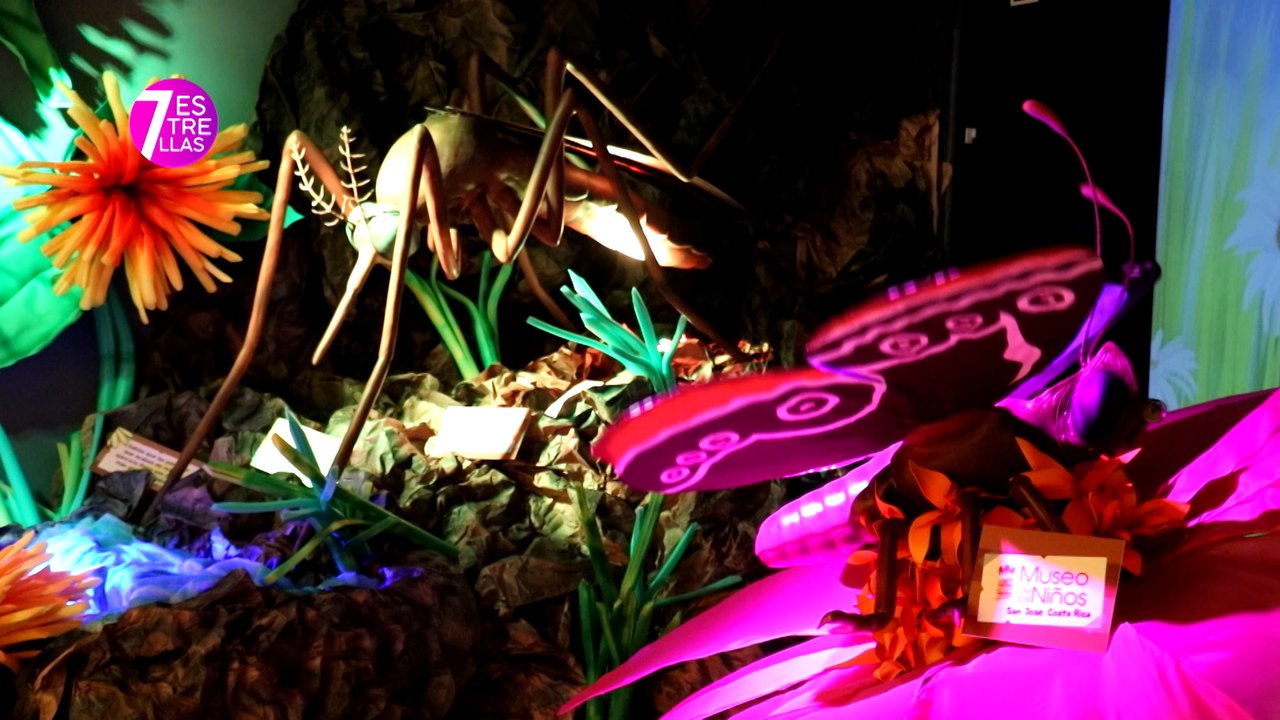 7est'Exhibición “Bichos” estará durante el mes de abril en el Museo de los Niños'080421