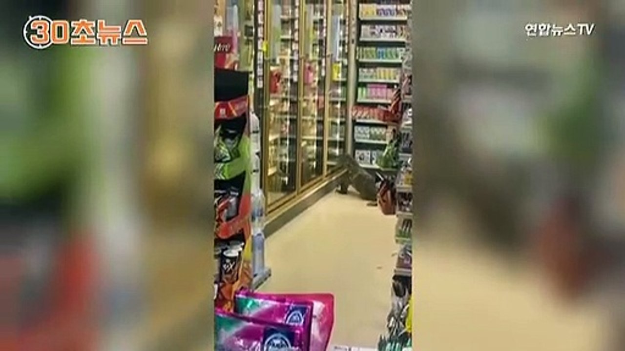 [30초뉴스] "배고파요"…태국 편의점 습격한 거대 왕도마뱀