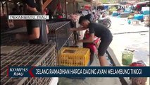 Jelang Ramadhan Harga Daging Ayam Melambung Tinggi