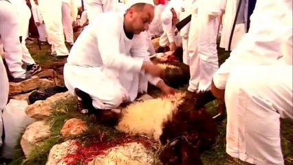 Who Wrote The Bible? Part 3