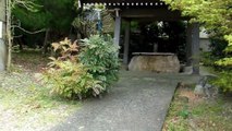 Another Shrine & Cherry Blossoms in Japan!!