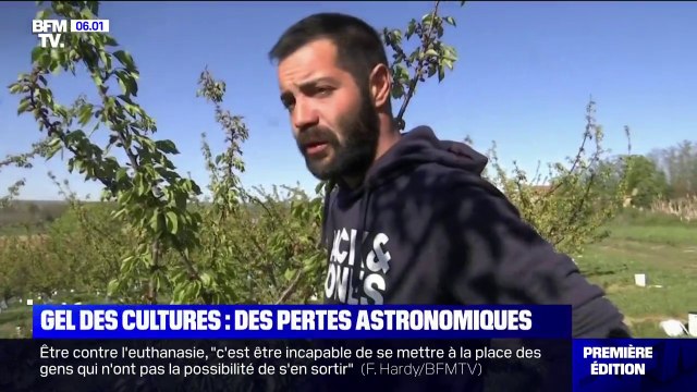 On est sur 100% de pertes : les larmes d'un arboriculteur après le gel de ses cultures