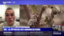 Cet arboriculteur témoigne de ses 