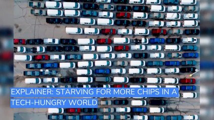 24/7 video newswire featuring breaking news, research, and entertainment.