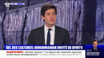 Gel des cultures: Julien Denormandie affirme qu'il faut s'attendre à ce qu'il y ait moins de pêches et d'abricots cet été