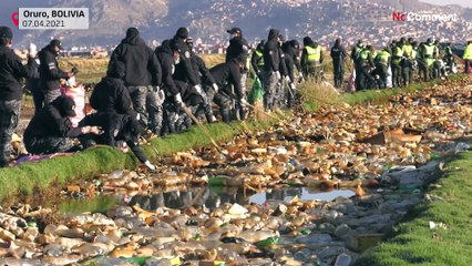 شاهد: بوليفيون ينظّفون بحيرة مهملة منذ سنوات