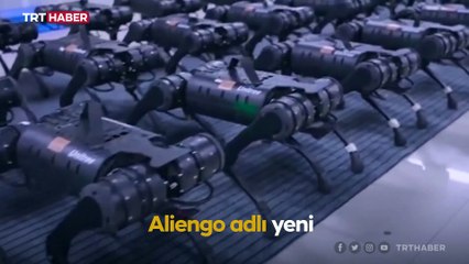 Çin merkezli robotik firması yeni robot ordusunu tanıttı