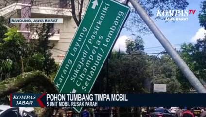 5 Mobil Rusak Parah Tertimpa Pohon Setinggi 20 Meter