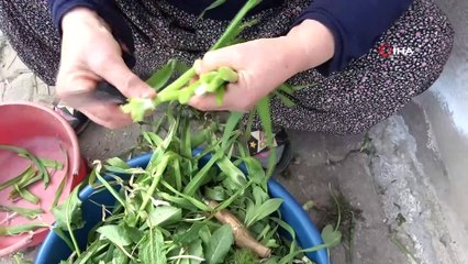 Bu pide sadece şifalı otlarla yapılıyor