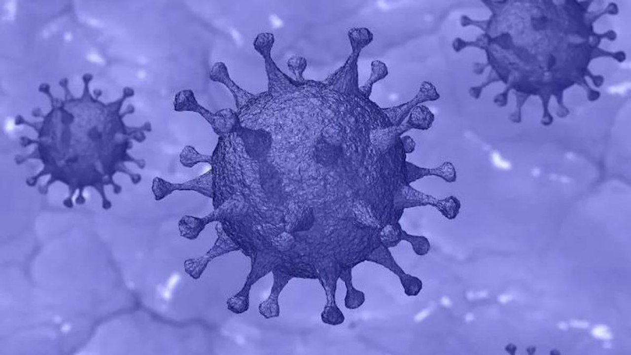 India's Covid-19 Update: Active cases at 979608