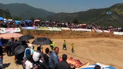 Artvin'deki boğa güreşlerinde korku dolu anlar!