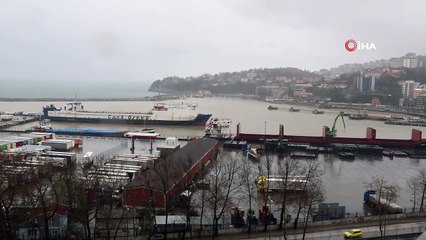 Zonguldak Limanı sarıya boyandı