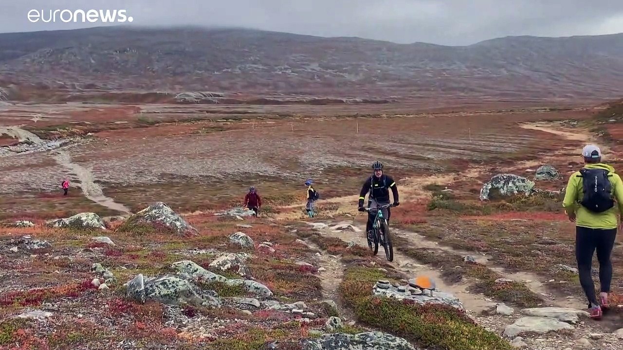 Ringen ums Revier: Reisende gegen Rentiere