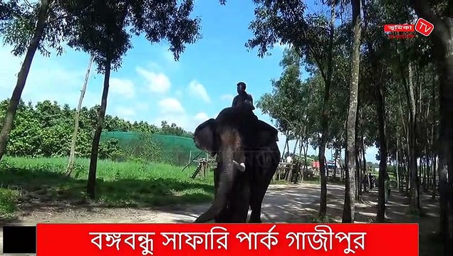 বঙ্গবন্ধু সাফারি পার্ক গাজীপুর