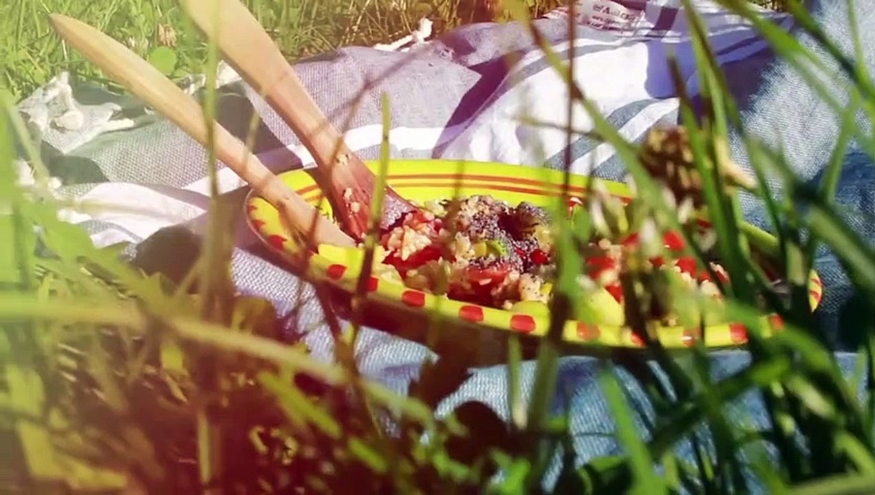 Recettes Végétariennes - Faciles, Rapides Et Santé !