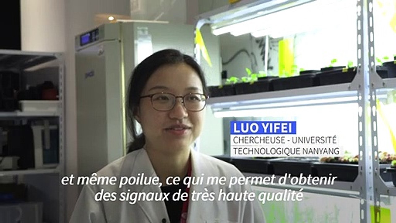 "Robots-plantes": des scientifiques cherchent à...