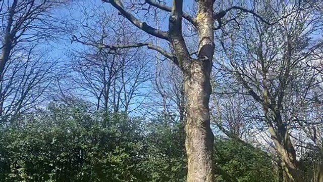 Preston's Weekend Weather: Chilly temperatures with bright sunny spells