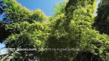 Guadeloupe - Detente en pleine nature