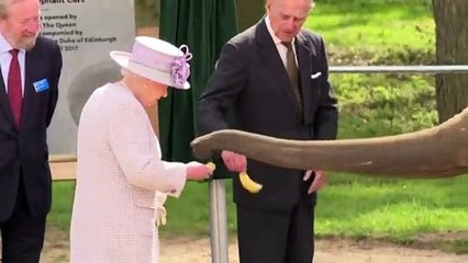 "Friedlich eingeschlafen": Prinz Philip im Alter von 99 Jahren gestorben