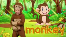 'Alphabet Animals' - ABC Animals Song for Kids _ Learn animals, phonics and the alphabet