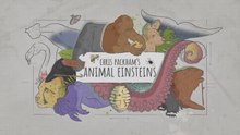 Communicators • 2021 • Episode "S1E2" • Chris Packham's Animal Einsteins