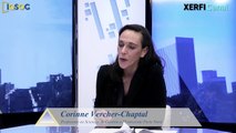 Ré-encastrer le capitalisme de plateforme : l'apport de Karl Polanyi [Corinne Vercher-Chaptal]