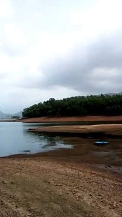 beautyful river forestmountain