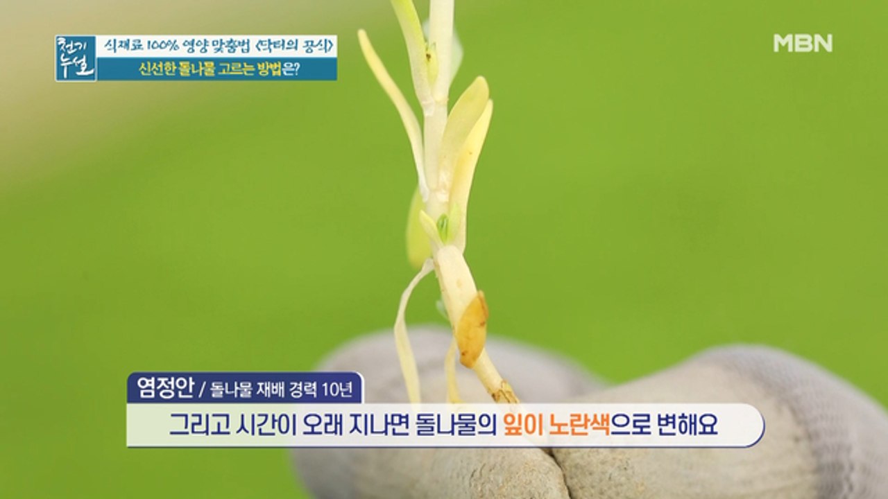 위 건강 지키는 봄의 전령사 돌나물? (ft. 신선한 돌나물 고르는 법)
