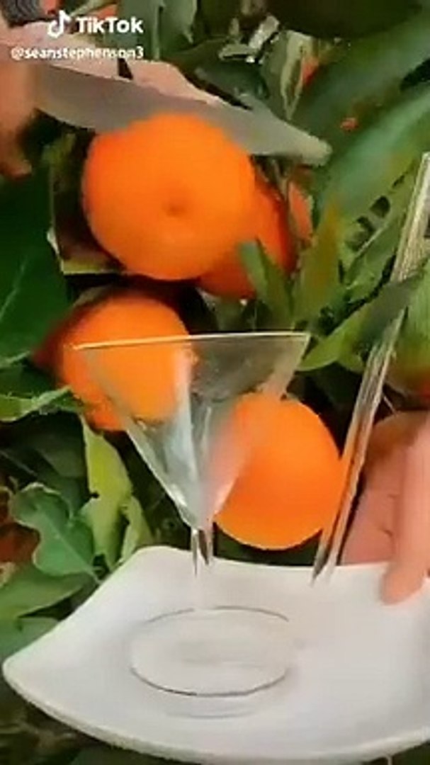 Best videos, Top videos, Viral videos Funny videos no. 67