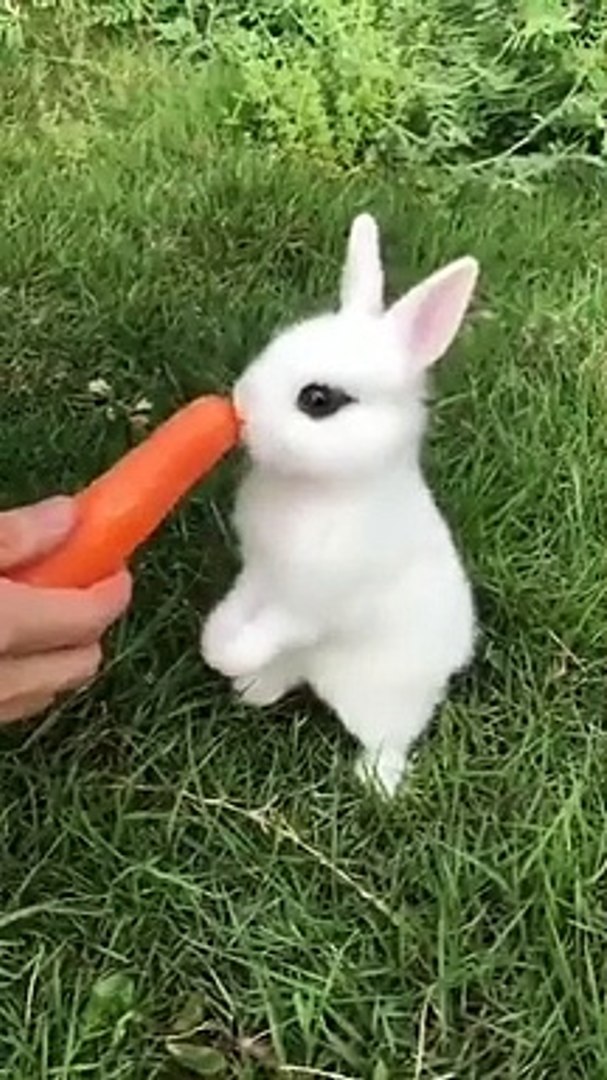 Best videos, Top videos, Viral videos Funny videos no. 68