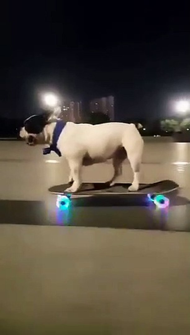 Best videos, Top videos, Viral videos Funny videos no. 71