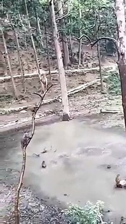 Best videos, Top videos, Viral videos Funny videos no. 72