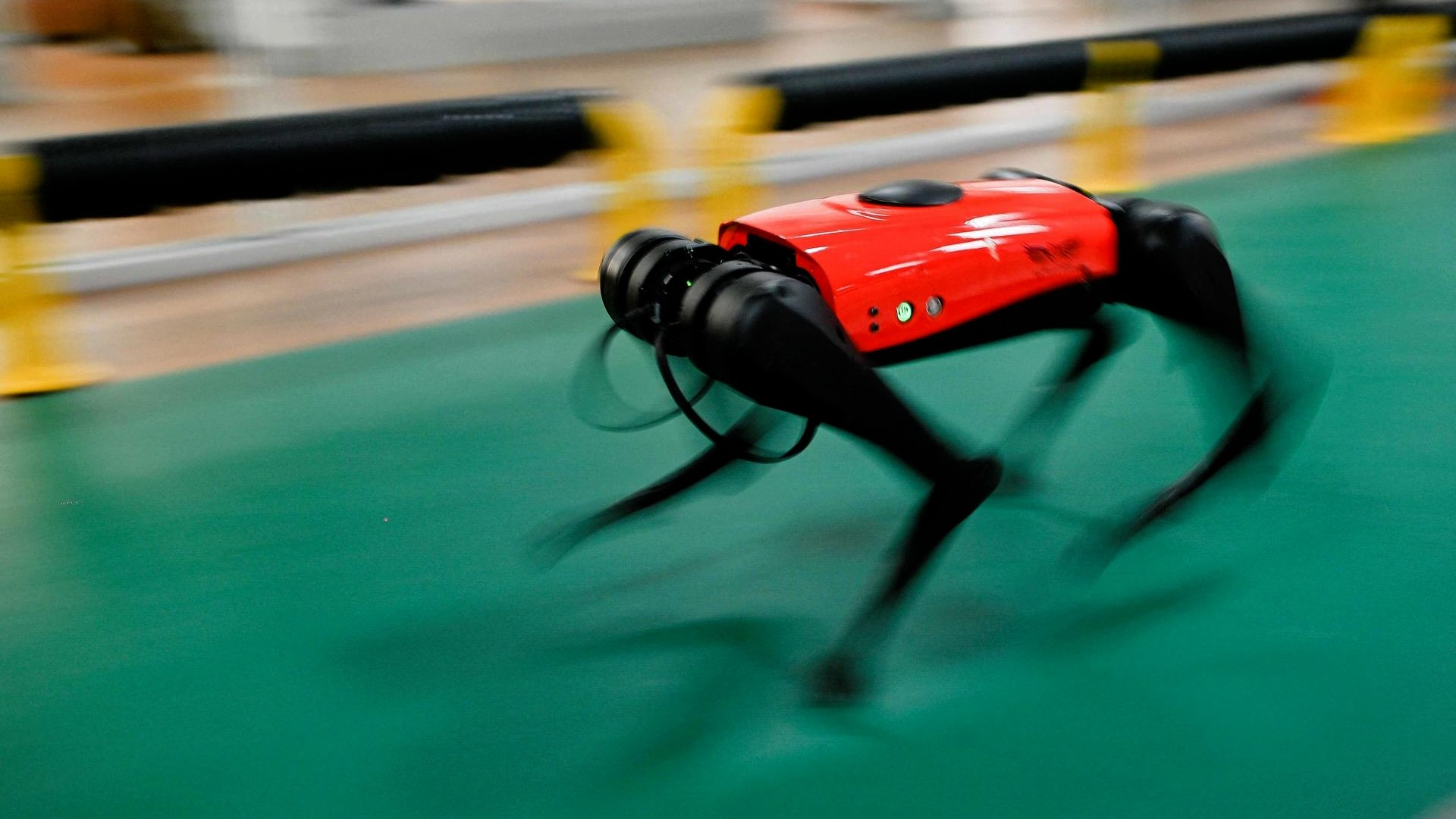 AlphaDog : intelligent et ultrarapide, ce chien-robot à 2 000 euros fait fureur en Chine