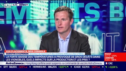 Quentin Chaperon (U'Wine) : Quels peut-être les impacts de la baisse de température sur la production et les prix du vin  ? - 09/04
