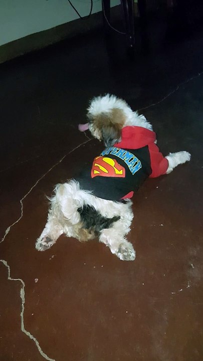 dila lang 