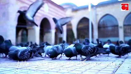 Erdoğan'ın İstiklal Marşı çıkışı akıllara bu besteleri getirdi