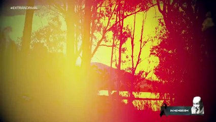 EXTRANORMAL ESPECIAL  ERMITAÑO NICOLAS BUFALO BLANCO