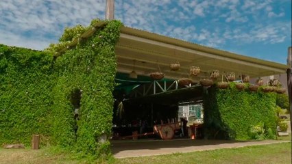 bd-viernes-de-paseo-090421