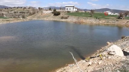 Unuttuğu el freni, eşinin hayatına mal oldu