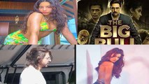 Bollywood Top 5 News; Shahrukh Khan, Disha Patani & Big Bull Why in news ? | FilmiBeat