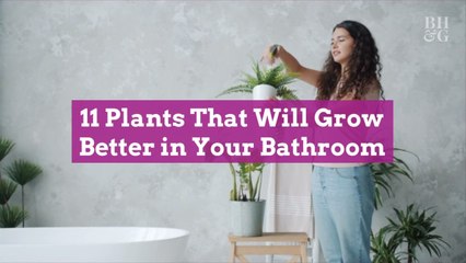 11 Plants That Will Grow Better in Your Bathroom