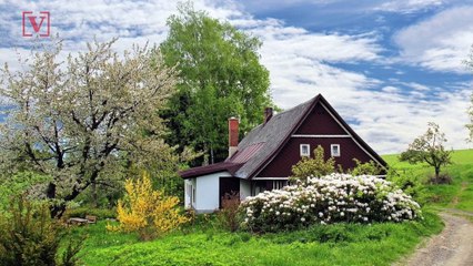 These Home Security Mistakes Happen All the Time! How You Can Prevent Them
