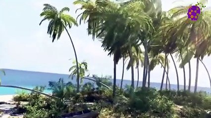 15 Minute Peaceful Relaxing Soothing Music | Meditation Music | Study Music | Music for Self-love