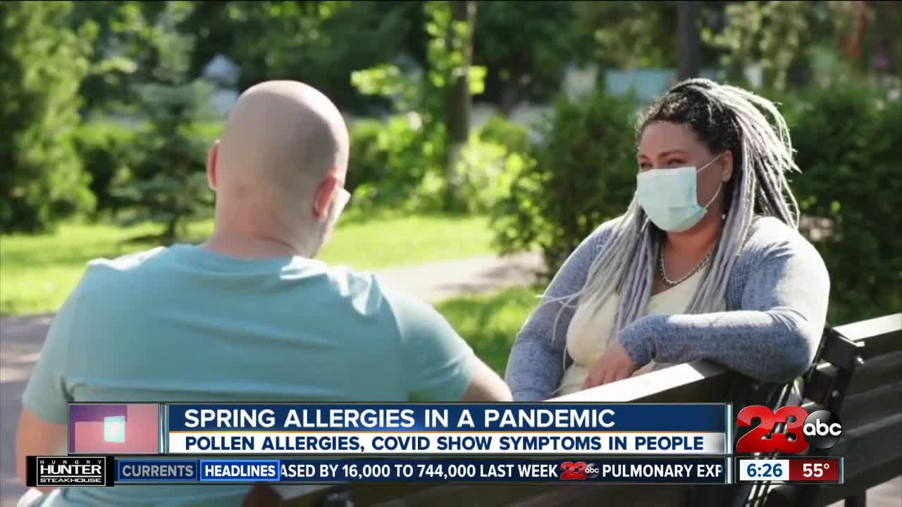 Spring allergies in a pandemic, pollen allergies and COVID show symptoms in people