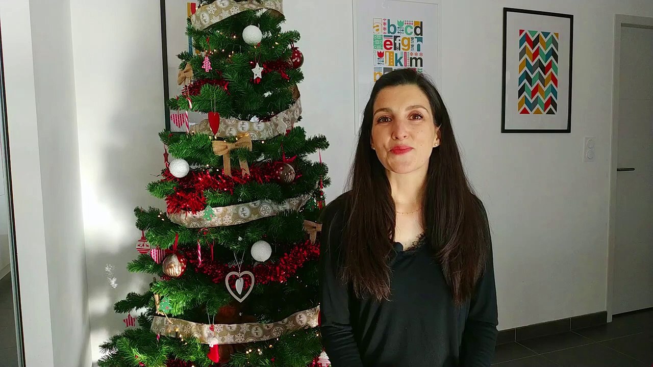 Sablés De Noël Et Pain D’Épices Ig Bas : Recette Facile Et Rapide - Gâteau Et Biscuits Healthy Noël