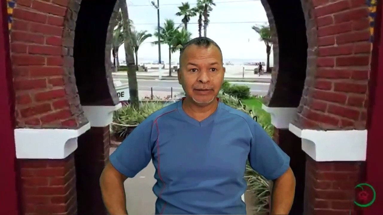 PLANO DE AULA 05 (Ginástica) Educação Física Escolar  Você é Ouro  Ginástica